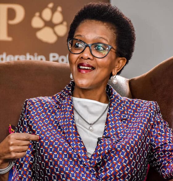 Boardroom Dancing: Transformation Stories from Corporate Activist Book by Nolitha Fakude